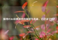 探寻PUBG经典游戏的现状与未来，它已凉了吗？