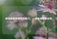 探寻各国首都独特魅力，一览各国首都名称