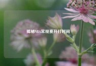 揭秘NBA常规赛开打时间