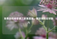 免费在线观看德乙联赛直播，感受别样足球魅力