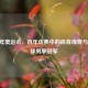 1996 年奥运会，百年庆典中的体育传奇与乒乓球男单冠军