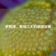 萨帕塔，亚特兰大的足球征程