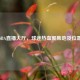 腾讯NBA直播大厅，球迷热血聚集地及位置探寻