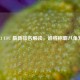 2021 UFC 最新排名解读，谁将称霸八角笼？