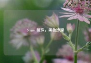 Steam 明珠，黑色沙漠