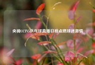 央视CCTV5乒乓球直播日程点燃球迷***