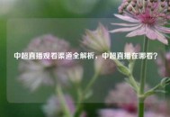 中超直播观看渠道全解析，中超直播在哪看？