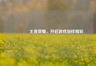 😎王者荣耀，开启游戏别样精彩