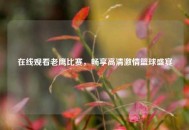 在线观看老鹰比赛，畅享高清***篮球盛宴