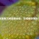 解锁湖南卫视直播回看，在线畅享精彩节目