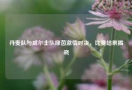 丹麦队与威尔士队绿茵***对决，比赛结果揭晓