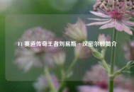 F1 赛道传奇王者刘易斯·汉密尔顿简介