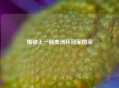 揭秘上一届美洲杯冠军国家