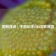 酣畅淋漓！中国足球3比0完胜韩国