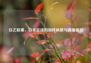 日乙联赛，日本足球的别样风景与直播盛宴