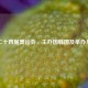 第二十四届奥运会，主办国韩国及举办年份