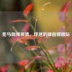 皇马新闻微博，球迷的绿茵情报站