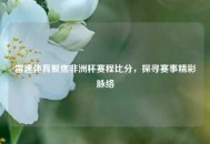 雷速体育聚焦非洲杯赛程比分，探寻赛事精彩脉络
