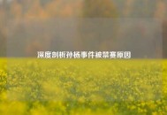 深度剖析孙杨事件被禁赛原因