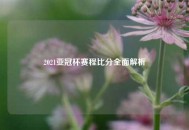 2021亚冠杯赛程比分全面解析