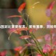 2025国足比赛赛程表，聚焦赛事，共盼辉煌