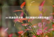 2017苏迪曼杯决赛，羽坛巅峰对决阵容揭秘