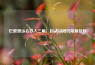 巴黎奥运会铁人三项，挑战极限的荣耀征程