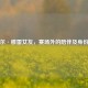 贾马尔·穆雷女友，赛场外的陪伴及身份揭秘