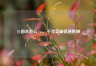 三国杀赵云 cos，千年英雄惊艳再现