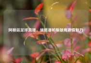 阿根廷足球直播，领略潘帕斯雄鹰***魅力