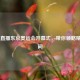 CCTV5直播东京奥运会开幕式，带你领略精彩瞬间