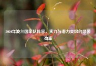 2020年波兰国家队阵容，实力与潜力交织的绿茵劲旅