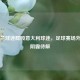 英格兰球迷群殴意大利球迷，足球赛场外暴力阴霾待解