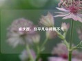 崔庆磊，在平凡中铸就不凡