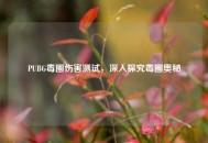 PUBG毒圈伤害测试，深入探究毒圈奥秘