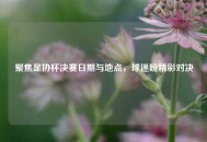 聚焦足协杯决赛日期与地点，球迷盼精彩对决