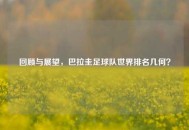 回顾与展望，巴拉圭足球队世界排名几何？