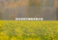 羽毛球双打规则详细介绍