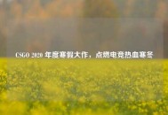 CSGO 2020 年度寒假大作，点燃电竞热血寒冬