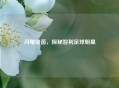闪耀绿茵，探秘智利足球明星