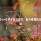 2019年NBA全明星阵容首发，星光璀璨的篮球盛宴