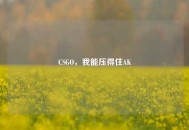 CSGO，我能压得住AK