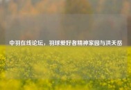 中羽在线论坛，羽球爱好者精神家园与洪天岳