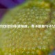 揭秘刘国梁的家庭情感，妻子数量与子女情况
