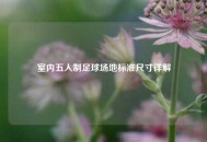 室内五人制足球场地标准尺寸详解