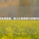 在线高清直播，勇士比赛     与荣耀的碰撞