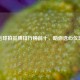 羽毛球拍品牌排行榜前十，助你选心仪球拍