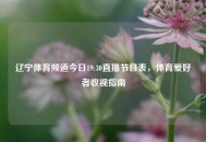 辽宁体育频道今日19:30直播节目表，体育爱好者收视指南