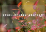 深度剖析PUBG游戏射击机制，子弹能打多少人？