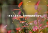 F1赛车直播赛程，全景呈现速度与***